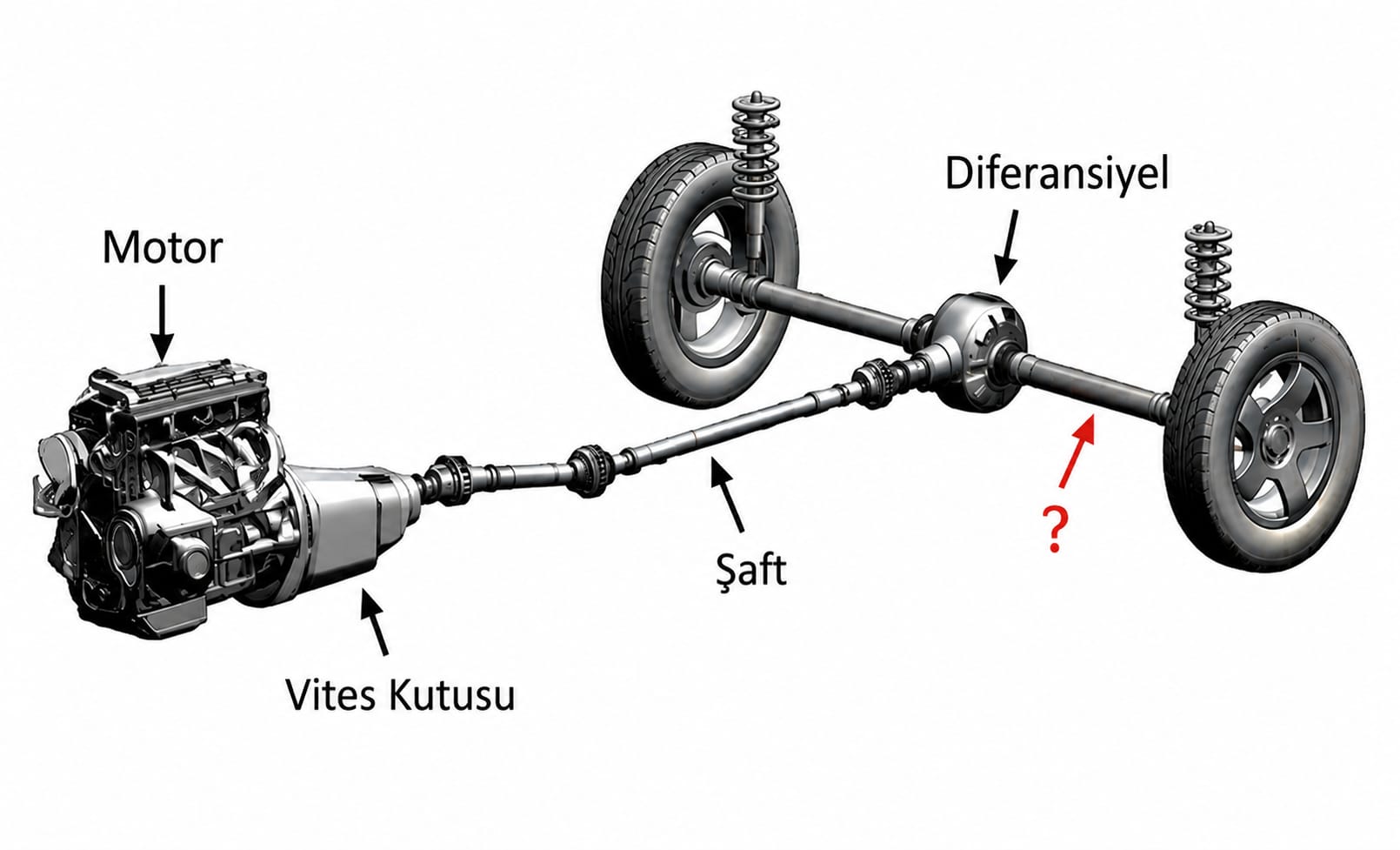 Soru 11 görseli